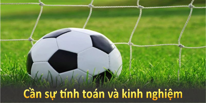 Cần tính toán và kinh nghiệm