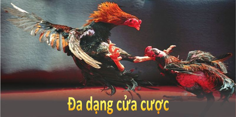 Đa dạng cửa cược giúp tăng khả năng chiến thắng của bạn