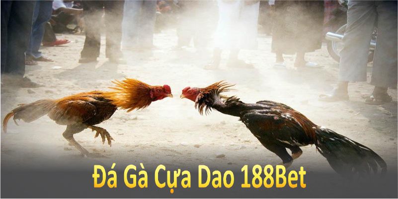 đá gà cựa dao 188bet